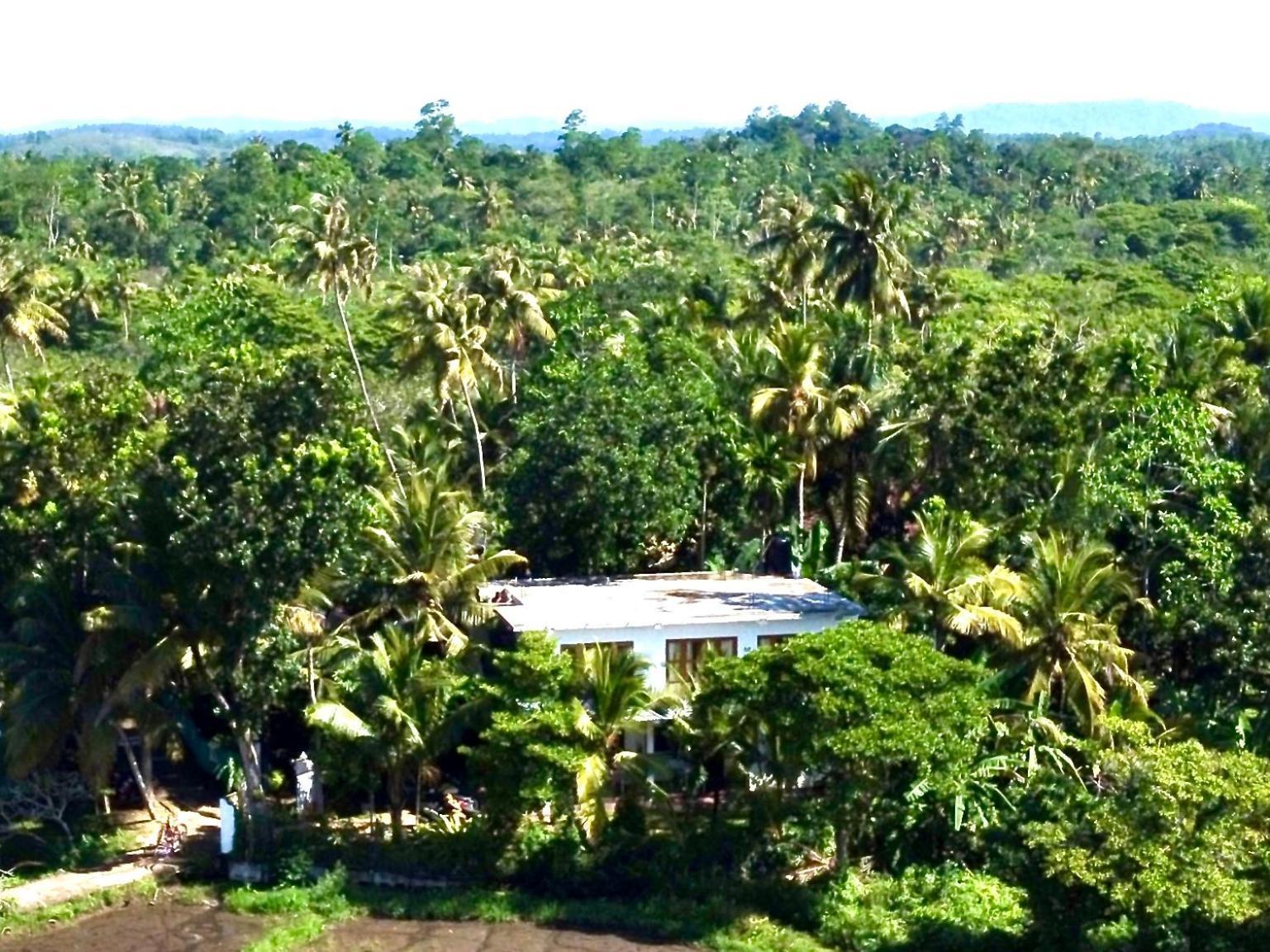 Field Island Villa - Ahangama Kültér fotó